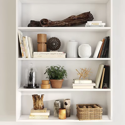 Ornamental Decor Combination with Books Wooden Ornaments Vase and Potted Plant on Bookshelf 3d model