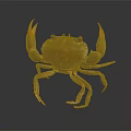 Brown crab with red claws and shiny body on dark background