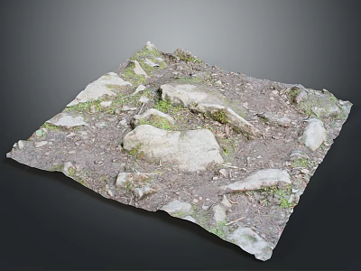 Natural Stone Surface With Moss Covered Rocks Dirt And Rustic Earthy Texture 3d model