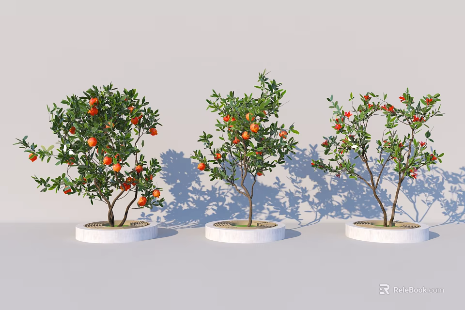 Three Potted Arbor Trees With Red Fruits In White Round Planters 3d model 