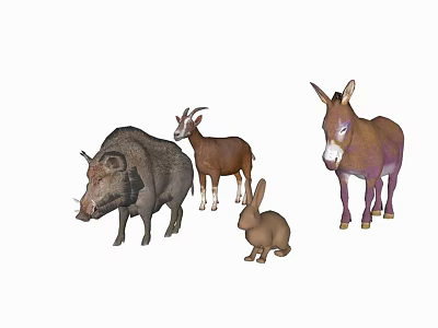 Reptiles In Natural Habitat With Lizards Turtles And Rocky Vegetation Surroundings 3d model