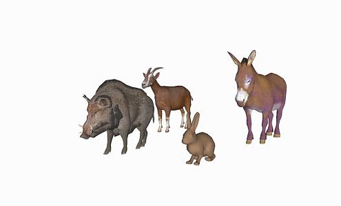 Modern Animal Groups Animals and 3d model