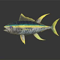 Blue and Yellow Striped Tuna Fish 3D Rendered on Dark Background with Reflection 3d model