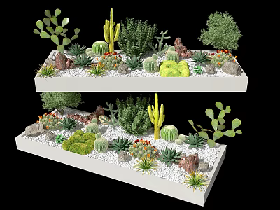 Various Succulent Plants and Cacti in White Rectangular Planters with Decorative Pebbles 3d model
