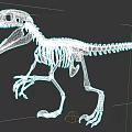Detailed Reptile Dinosaur Skeleton Showing Articulated Bones in Standing Posture