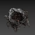 Natural Wild Bird Nest Constructed With Twigs Dry Grass And Small Debris