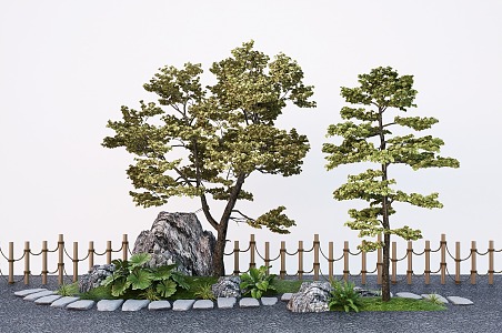 Modern Pine Tree Pinus sylvestris landscape tree courtyard tree garden street tree 3d model