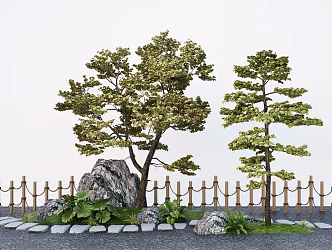 Modern Pine Tree Pinus sylvestris landscape tree courtyard tree garden street tree 3d model