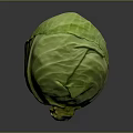 Fresh Green Cabbage With Vibrant Leaves Round Shape On Dark Background