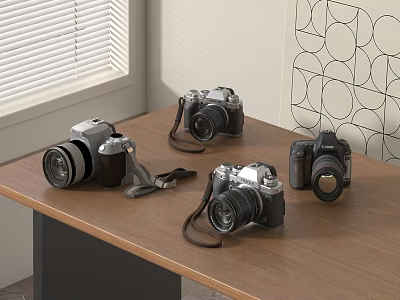 Various Vintage and Modern Cameras with Straps on Wooden Table Top 3d model