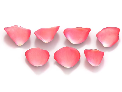 Pink Rose Petals Arranged On White Background For Natural Floral Decoration 3d model
