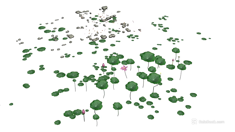 Fresh Lotus Flowers And Green Leaves Peacefully Floating On Water Surface 3d model 