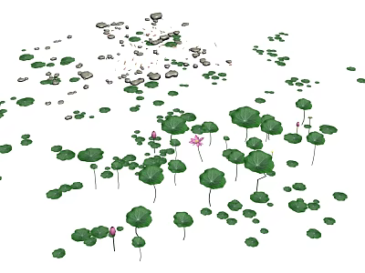 Fresh Lotus Flowers And Green Leaves Peacefully Floating On Water Surface 3d model