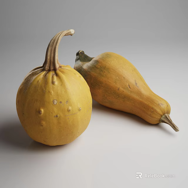Two Fresh Pumpkins One Round And One Long On White Surface 3d model 