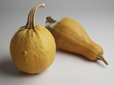 Two Fresh Pumpkins One Round And One Long On White Surface 3d model
