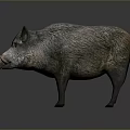 Realistic Wild Boar Sculpture In Standing Pose With Detailed Texture On Gray Background