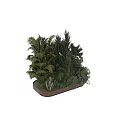 Garden Decorative Plant Arrangement With Various Green Plants In Wooden Planter