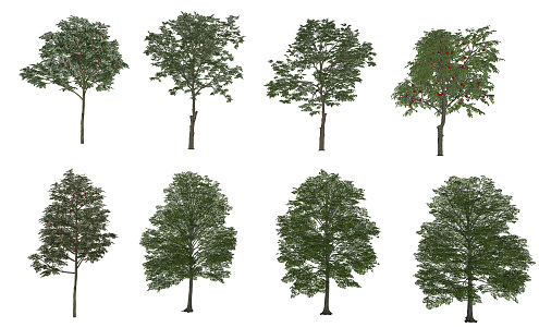 Modern Tree Landscape Tree 3d model