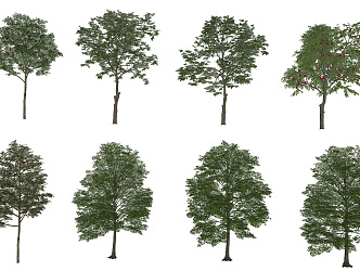 Modern Tree Landscape Tree 3d model