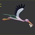 Flying Stork Carrying White Ball In Beak On Dark Background With Reflection