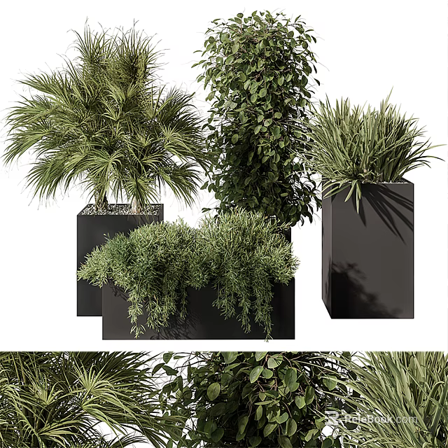 Varied Green Potted Plants In Black Square Pots With Lush Foliage And Different Plant Types 3d model 