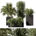 Varied Green Potted Plants In Black Square Pots With Lush Foliage And Different Plant Types