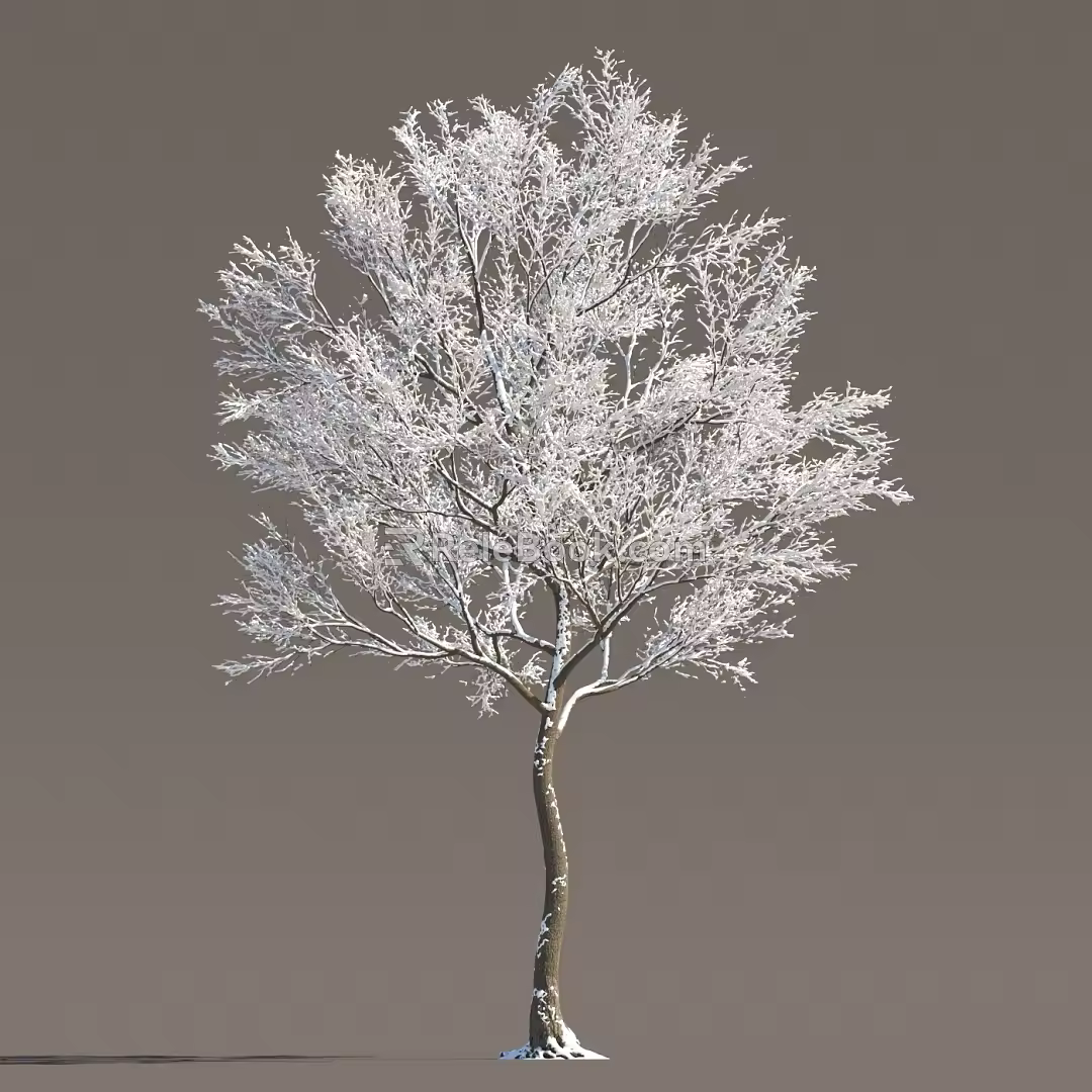 Winter Snow Trees Ice Trees Frozen Trees Snow Trees Big Trees Landscape Trees Street Trees 3d model