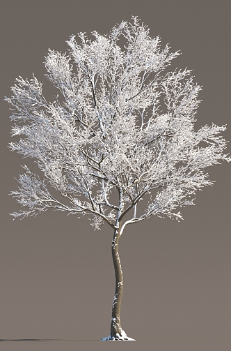 Winter Snow Trees Ice Trees Frozen Trees Snow Trees Big Trees Landscape Trees Street Trees 3d model