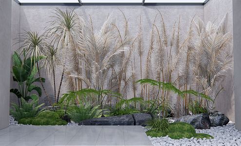 Modern landscape sketch landscape plant courtyard sketch reed plant stone landscape 3d model