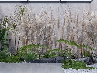 Modern landscape sketch landscape plant courtyard sketch reed plant stone landscape 3d model