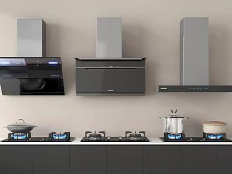 Modern Range Hood Gas Stove 3d model