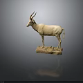 Detailed Antelope Taxidermy Display Standing on Stone Base Against Gray Background