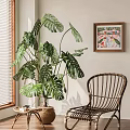 Net red plant Bamboo turtle potted plant 3d model
