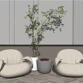 Casual Sofa Set Creamy White Rounded With Green Plant White Planter Light Wall Wooden Floor