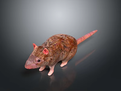 Brown Fur Rat With Pink Ears And Pink Tail Standing On Dark Background 3d model