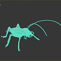 Golden Cricket Sculpture With Long Antennae On Black Background And Reflection