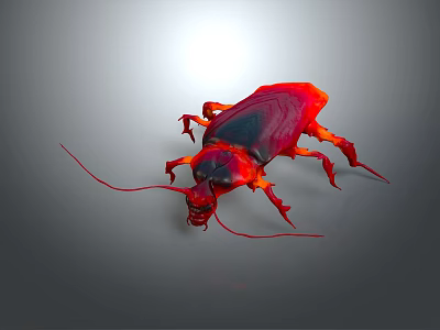 Red and black cockroach with long antennae on gray background in realistic lighting 3d model