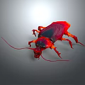 Red and black cockroach with long antennae on gray background in realistic lighting