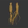Two High Quality Natural Fresh Ginseng Roots As Daily Life Health Products