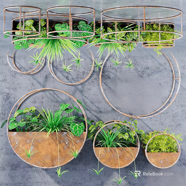 Hanging Basket Plants With Metal Circular Frames And Green Foliage For Indoor Decoration 3d model 