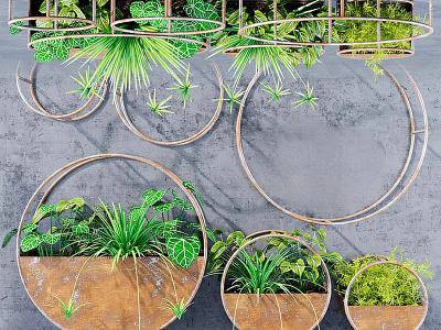 Hanging Basket Plants With Metal Circular Frames And Green Foliage For Indoor Decoration 3d model