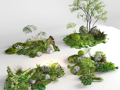 Various Small Garden Landscape Designs With Green Plants Stones Trees And Ferns 3d model