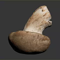 Fresh Brown Whole Mushroom with Smooth Surface and Natural Texture Ideal Ingredient for Healthy Cooking