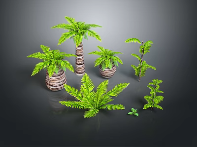 Various Decorative Plants Including Palm Trees Ferns And Small Greenery In Woven Pots 3d model