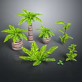 Various Decorative Plants Including Palm Trees Ferns And Small Greenery In Woven Pots