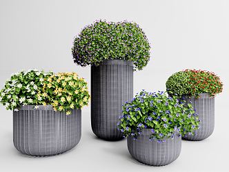 Modern potted combined flowers and plants 3d model