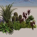 Diverse Plant Combination With Tropical Palms Cacti Purple Flowers And Red Foliage