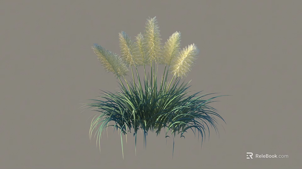 Lush Green Shrub with Multiple White Feathery Plumes and Long Leaves 3d model 