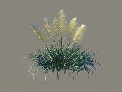 Lush Green Shrub with Multiple White Feathery Plumes and Long Leaves 3d model