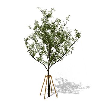 The Modern Tree 3d model